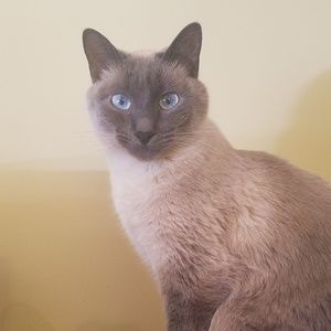 Meet your Posher, Patty